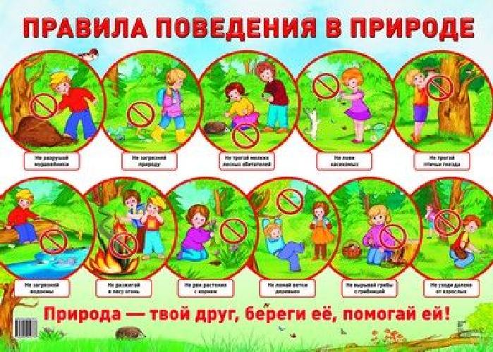 Дем. плакат. Правила поведения в природе.