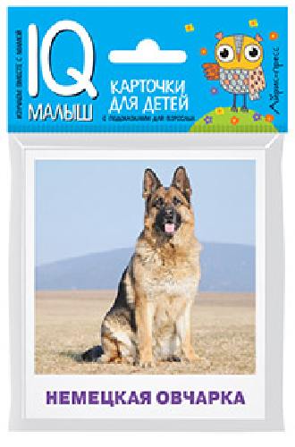 Умный малыш.  Породы собак. Набор карточек для детей/Малунова.