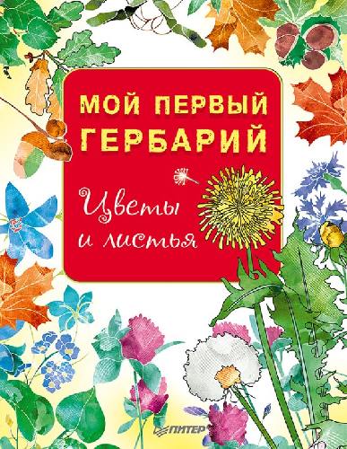 Мой первый гербарий. Цветы и листья.