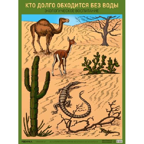 Экологическое воспитание в детском саду. Плакат. Кто долго обходится без воды. (ФГОС) /Николаева.
